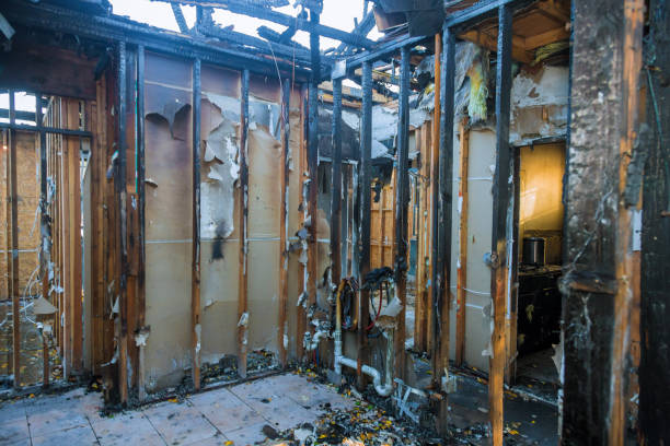 Professional Fire Damage Removal technician working in Rose Valley, PA